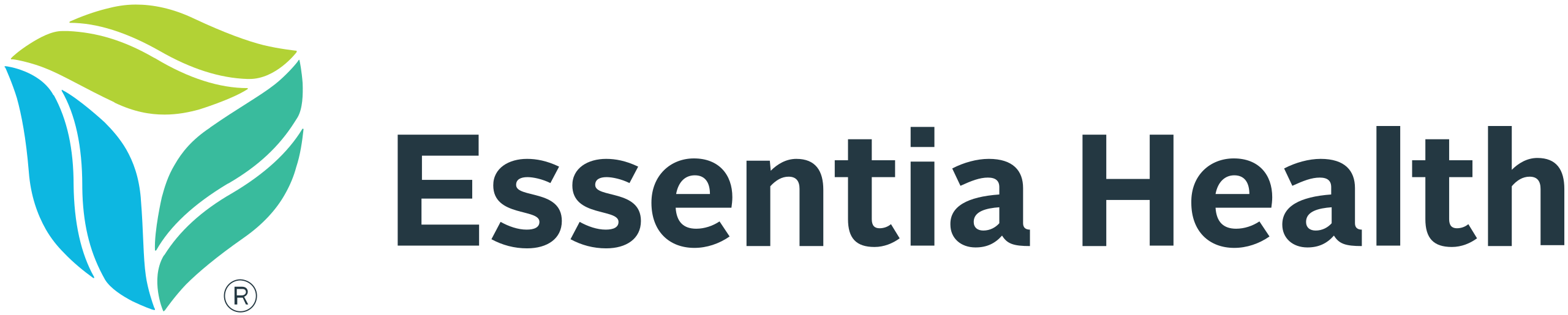 Essentia Health Kirkwood Clinic Logo