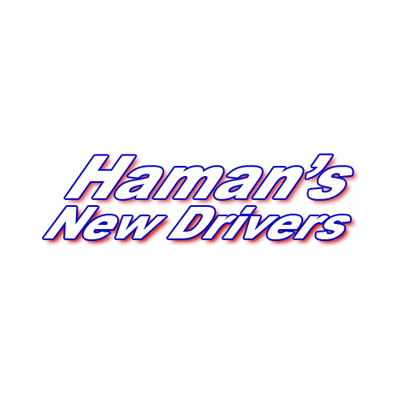 Haman's Driving School Logo
