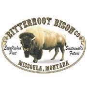Bitterroot Bison