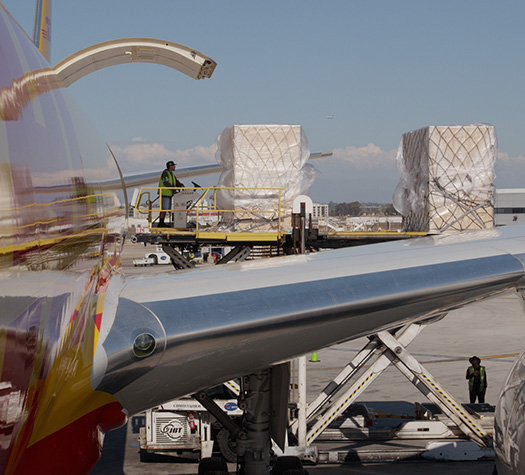 Ground crew unloads wrapped cargo pallets from a commercial aircraft on an airport tarmac.