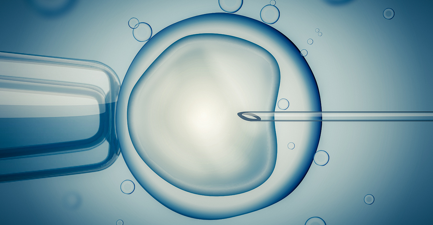 IVF: myth vs fact modified