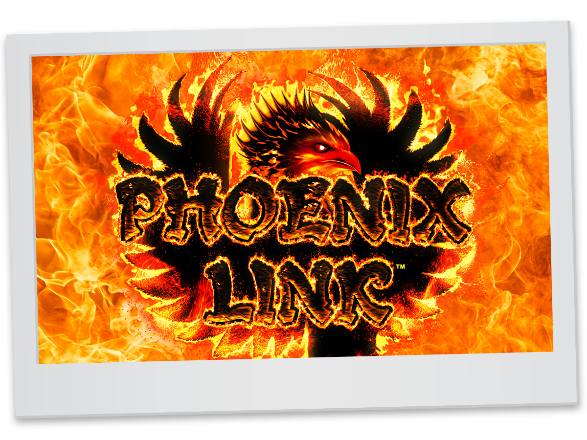 Phoenix Link Queen Chiu