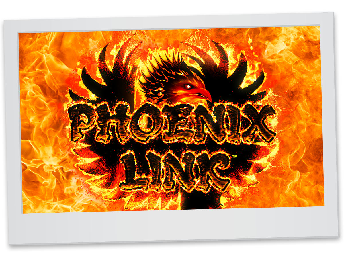 Phoenix Link Queen Chiu