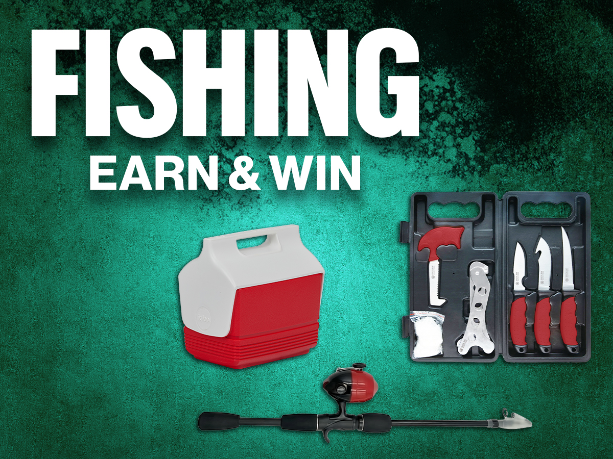 Fishing Earn & Win