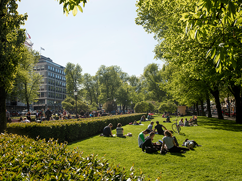 Hópar fólks sitja á grænni grasflöt í Esplanade-garðinum, Helsinki á sólríkum degi