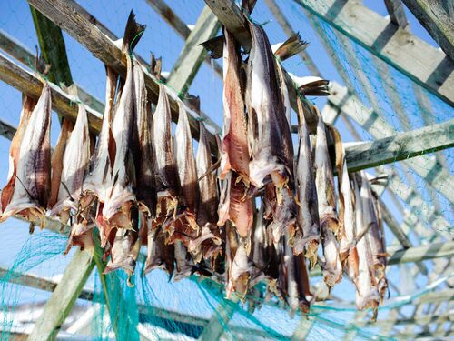 fishing drying on traditional wooden racks