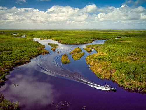 aerial view of the Florida everglades