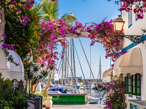 Pink flowers hang from wall planters next to the entrance arc to the Puerto de Mogan harbor in Gran Canaria