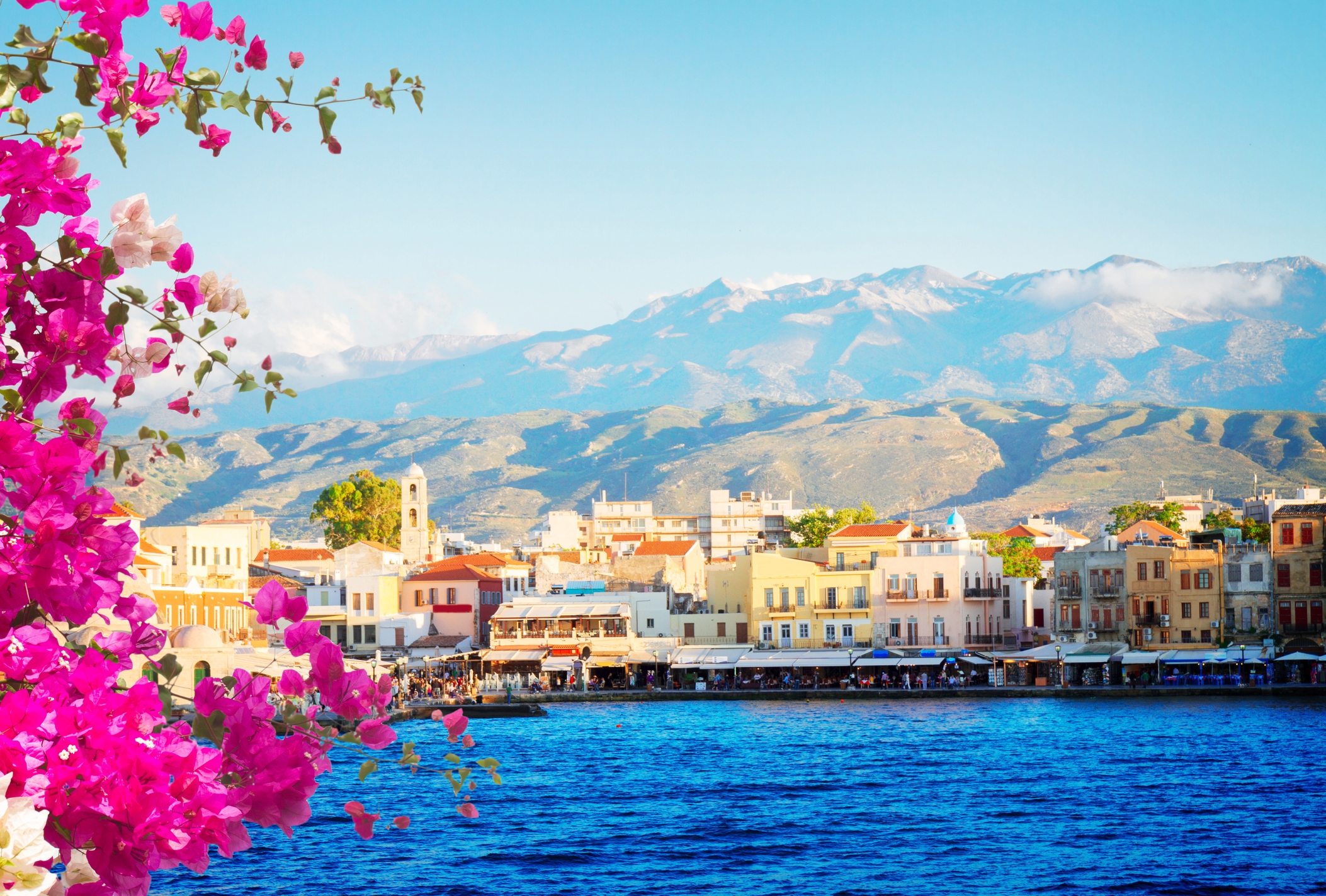 A scene of Crete as pictured from across the water with mountains in the background and flowers in the fore 