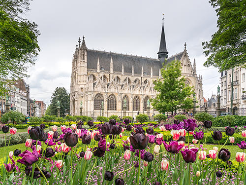 The Church of Our Lady of Victories at the Sablon in Brussels, Belgium, pictured with spring flowers in the foreground 