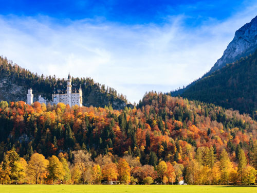 Neuschwanstein castle in Germany seen from a distance