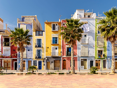 A flat on view of the colourful houses in Alicante, with palm trees positioned before them 