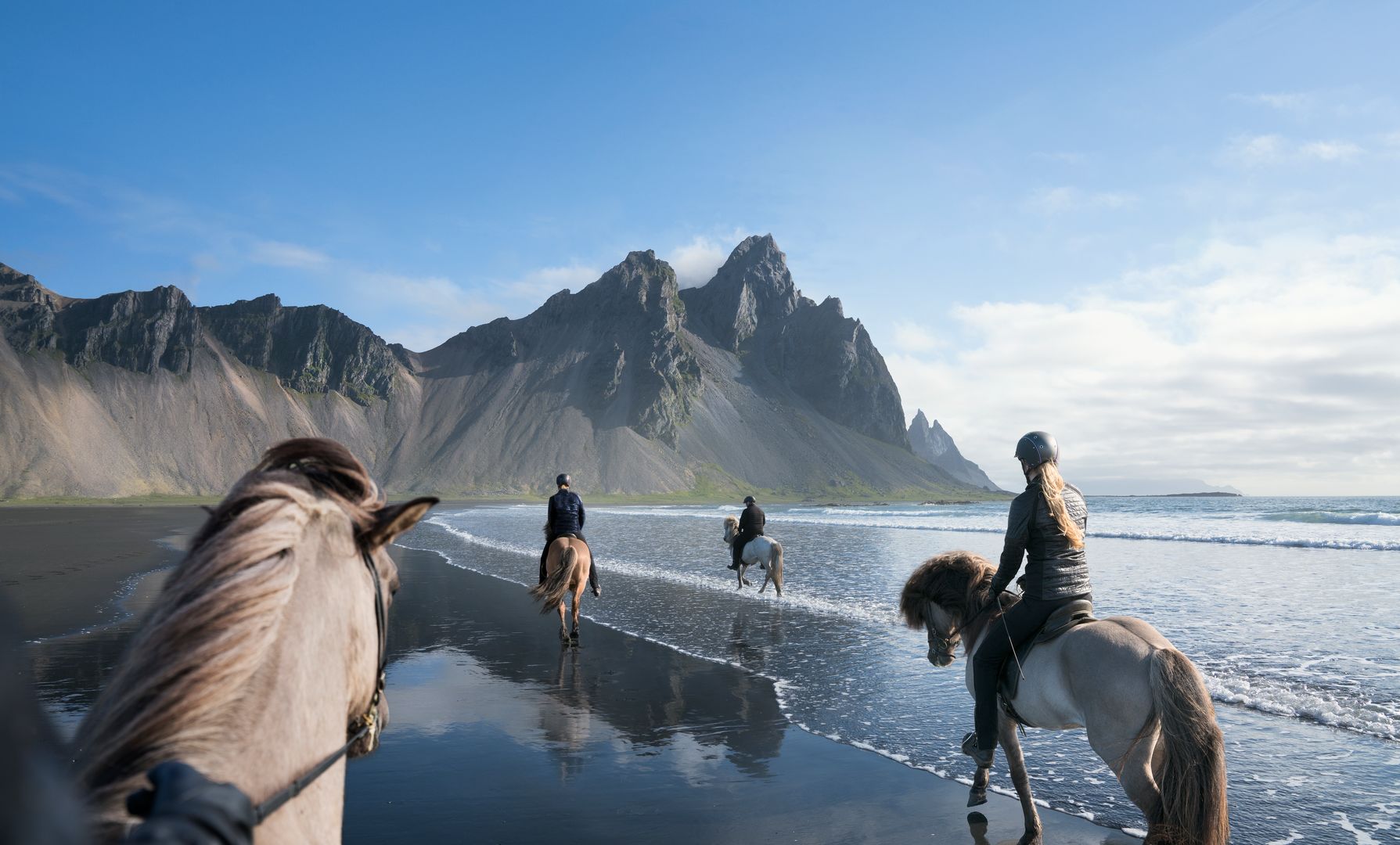 four Icelandic horses trotting towards Vestrahorn mountain