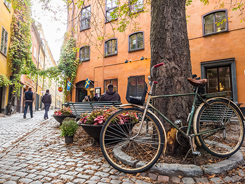 A bike is parked against a tree in Stockholm city center, pictured with the iconic coloured buildings in the background