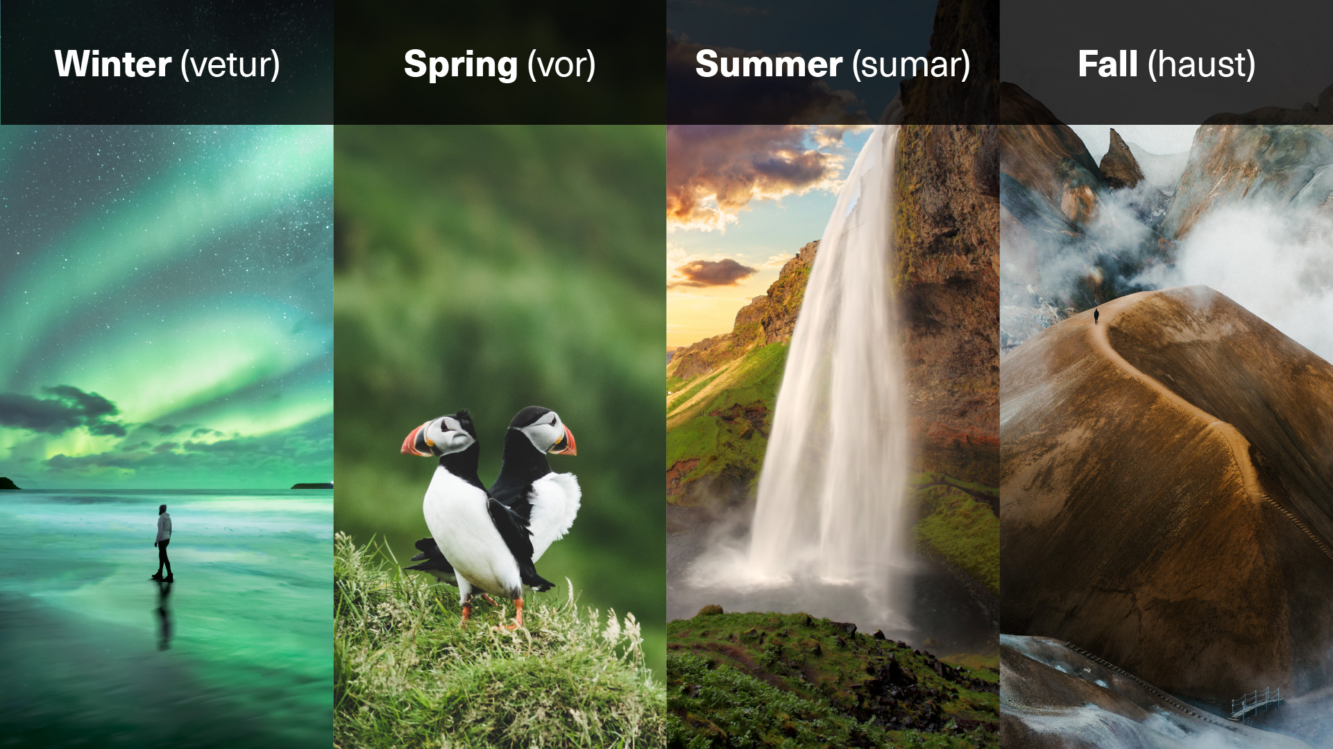 Different seasons throughout the year in Iceland. The four seasons in Iceland - winter, summer, spring and fall - displayed on an illustrative graphic image