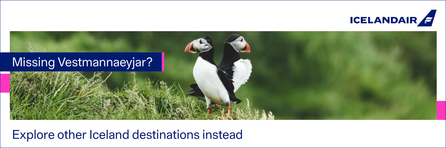 Image of two puffins with text that reads 'Missing Vestmannaeyjar? Explore other Iceland destinations instead