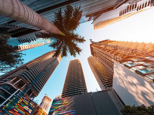 downtown Miami with skyscrapers and palm trees