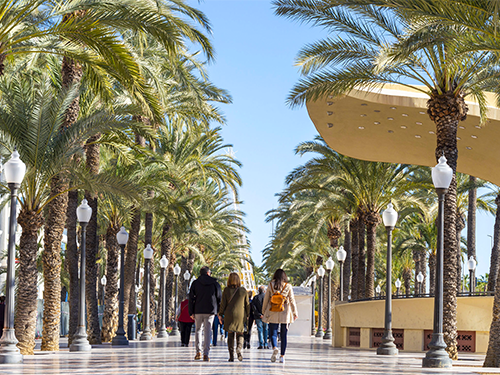 A group of people walk on a walkway between the palm trees in Alicante 