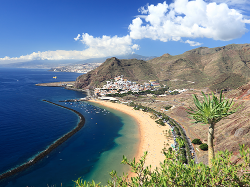 Ströndin Playa de Las Teresitas á norðurhluta Tenerife, pálmatré í forgrunni