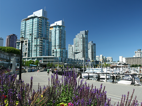 A view of the city highrises in Vancouver, with spring flowers in the foreground and boats in the foreground 