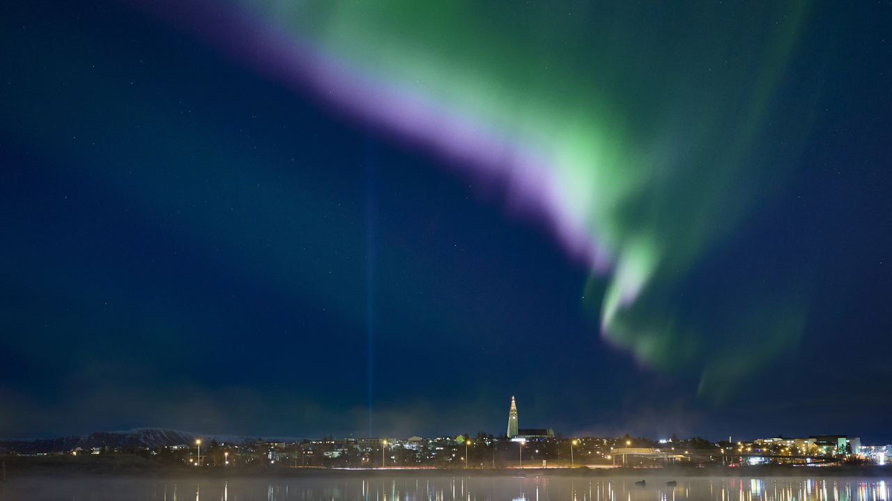 colorful aurora over the cityscape of Reykjavík. Hallgrímskirkja is visible in the image.