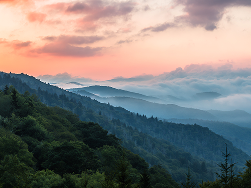 The Great Smoky Mountains pictured at sunset, where the mountains are covered in a light mist 