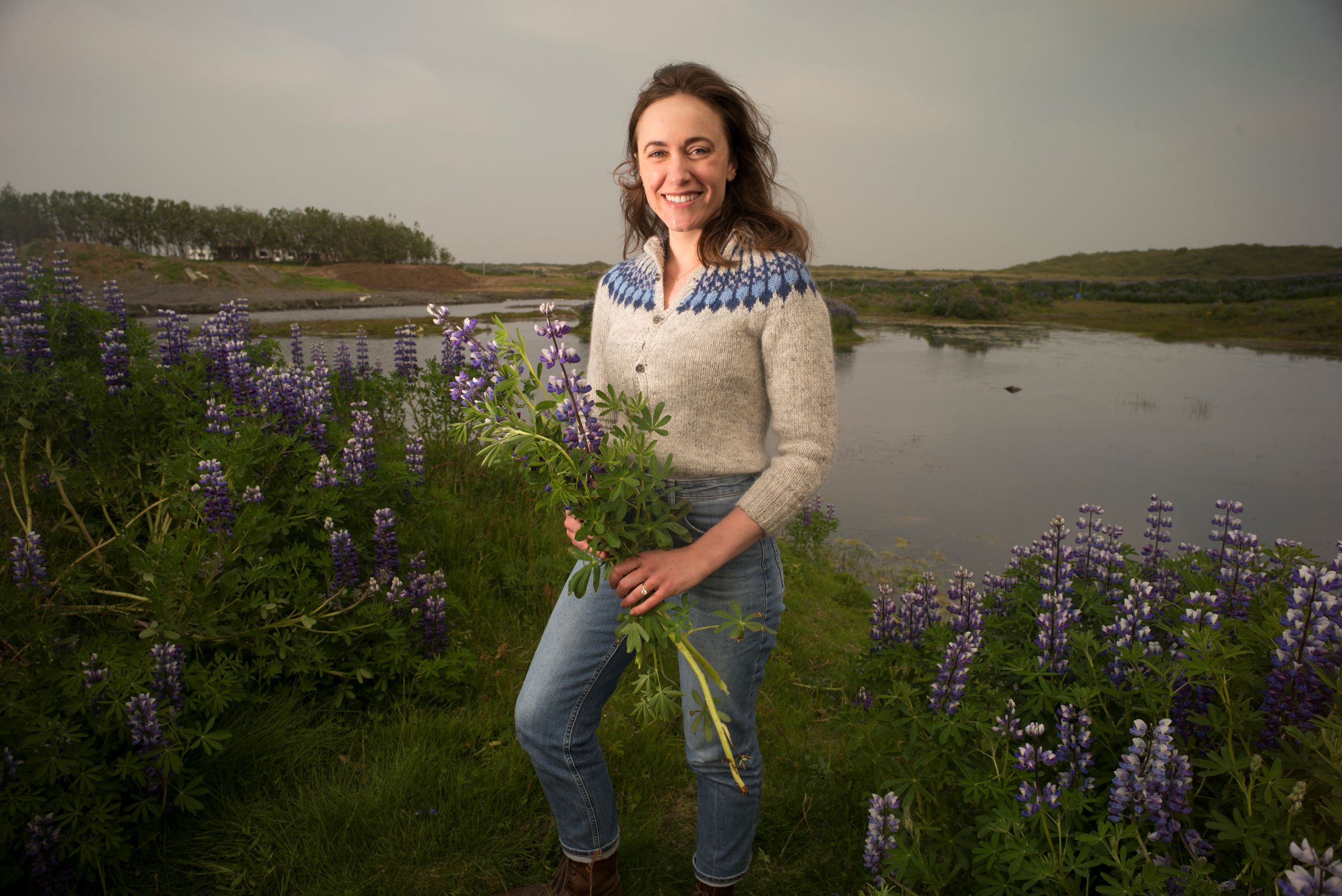 Woman holding a bunch of lupin flowers while wearing a white and blue lopapeysa beside a lake