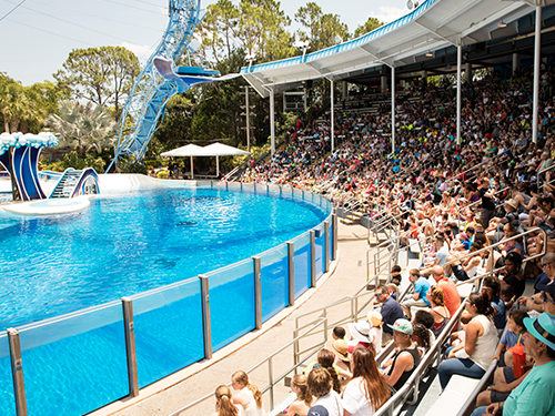 A scene from one of the water-based shows in Orlando, Florida with people looking out over the blue pool 