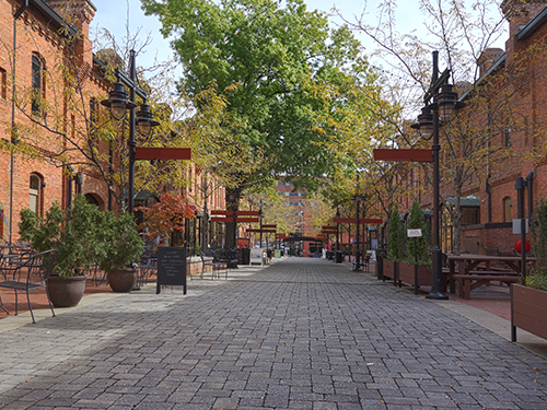A tree-lined street in Durham, NC, with restaurants and bars on both sides of the street 