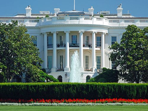 The White House in Washington D.C. pictured from behind some lush green bushes 