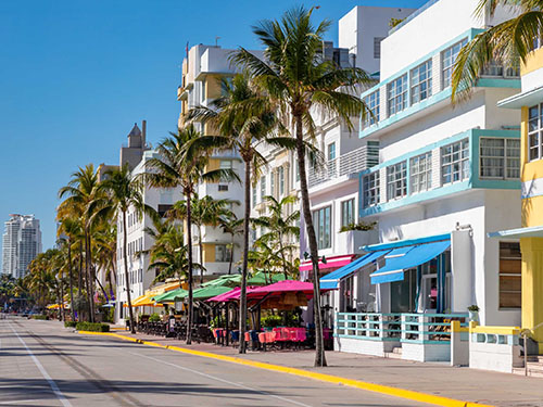 colorful street and palm trees in Miami, florida