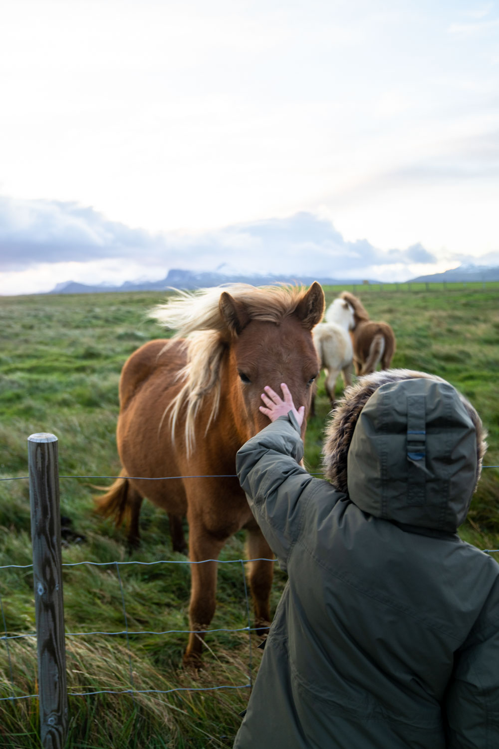 A boy wearing a raincoat pats a horse in a field