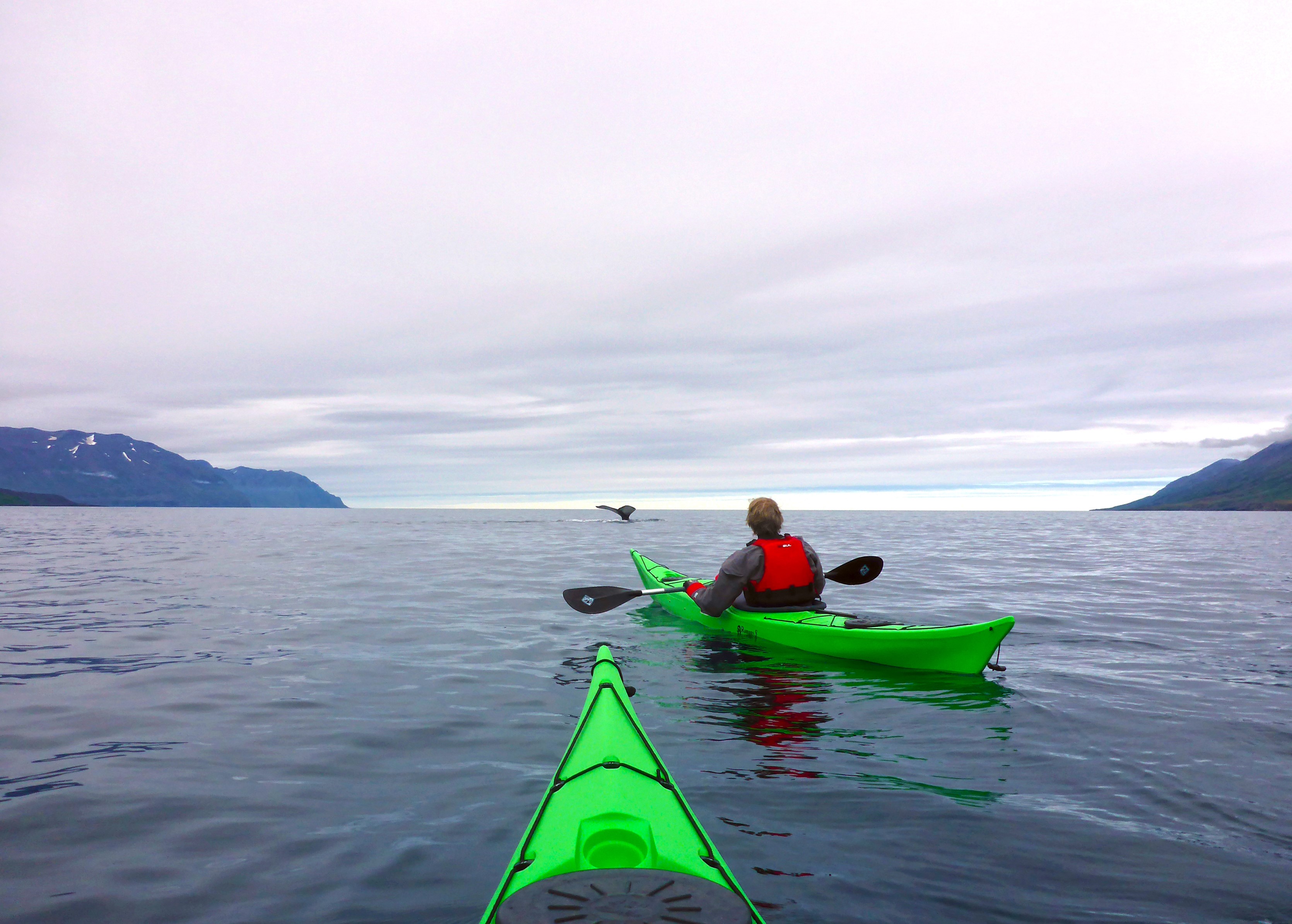 Image of two kayakers in open water observing a whale fluke in the distance