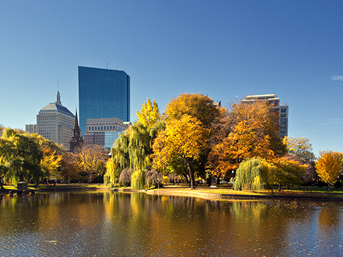 A scene of Boston in the autumn with blue skies, sky scrapers and beautiful orange and brown trees