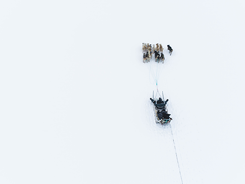 A birds eye view of a person dressed in a snow suit sitting on a dog sled which is being pulled by a pack of huskies 