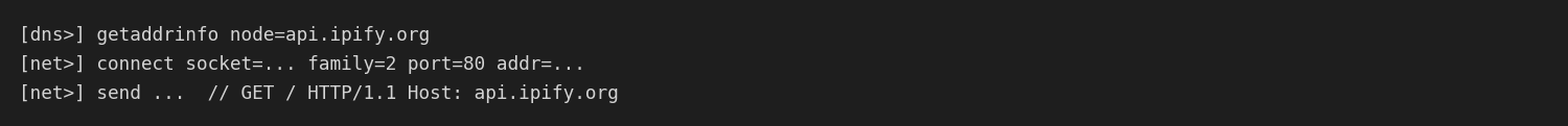 External IP lookup via api.ipify.org before C2 contact