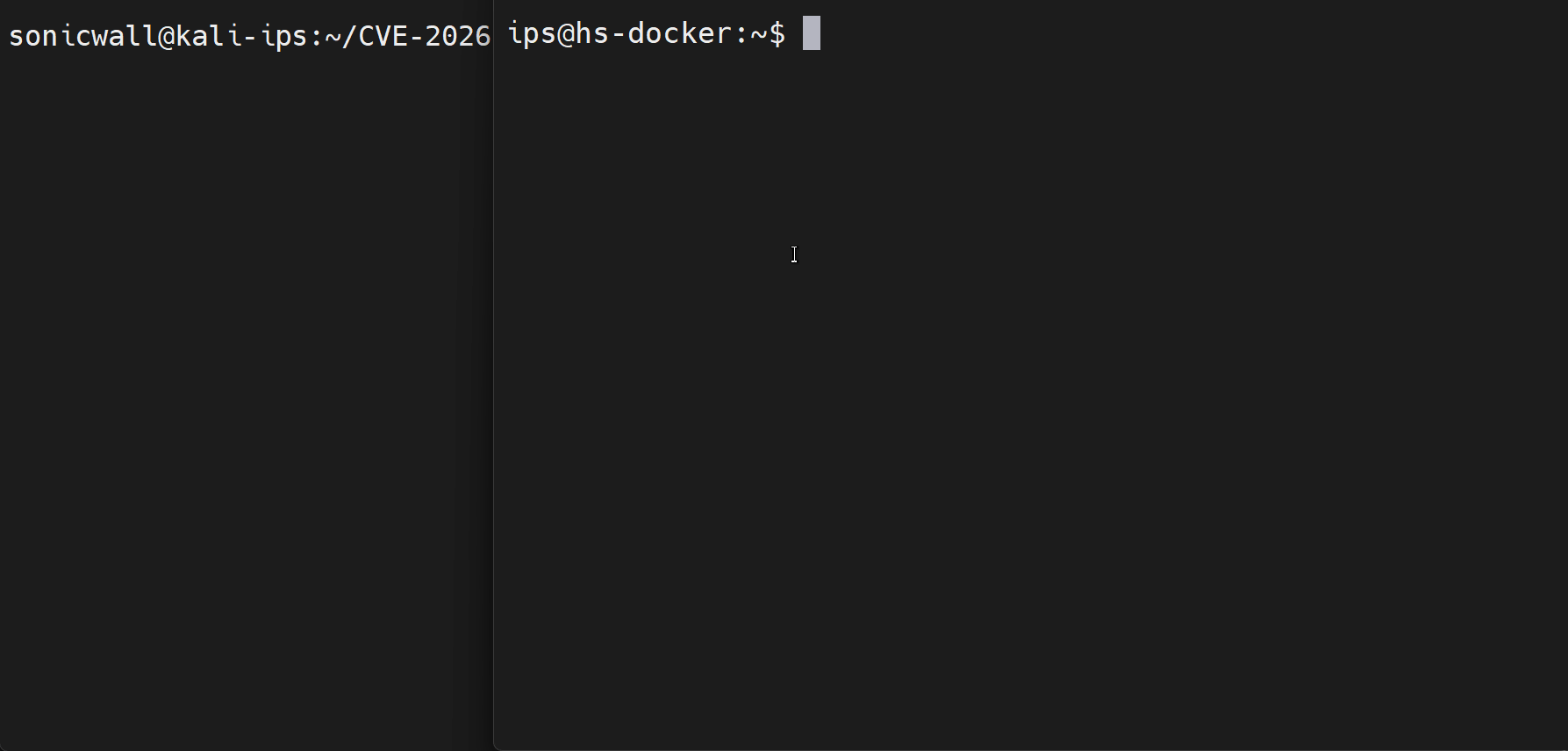 Figure_5_Exploit_in_Action.gif