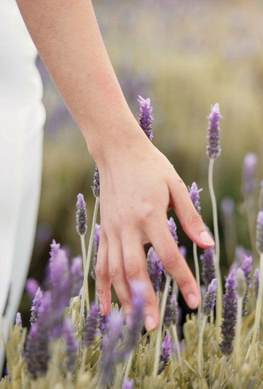 Lavendar_Hand.jpg