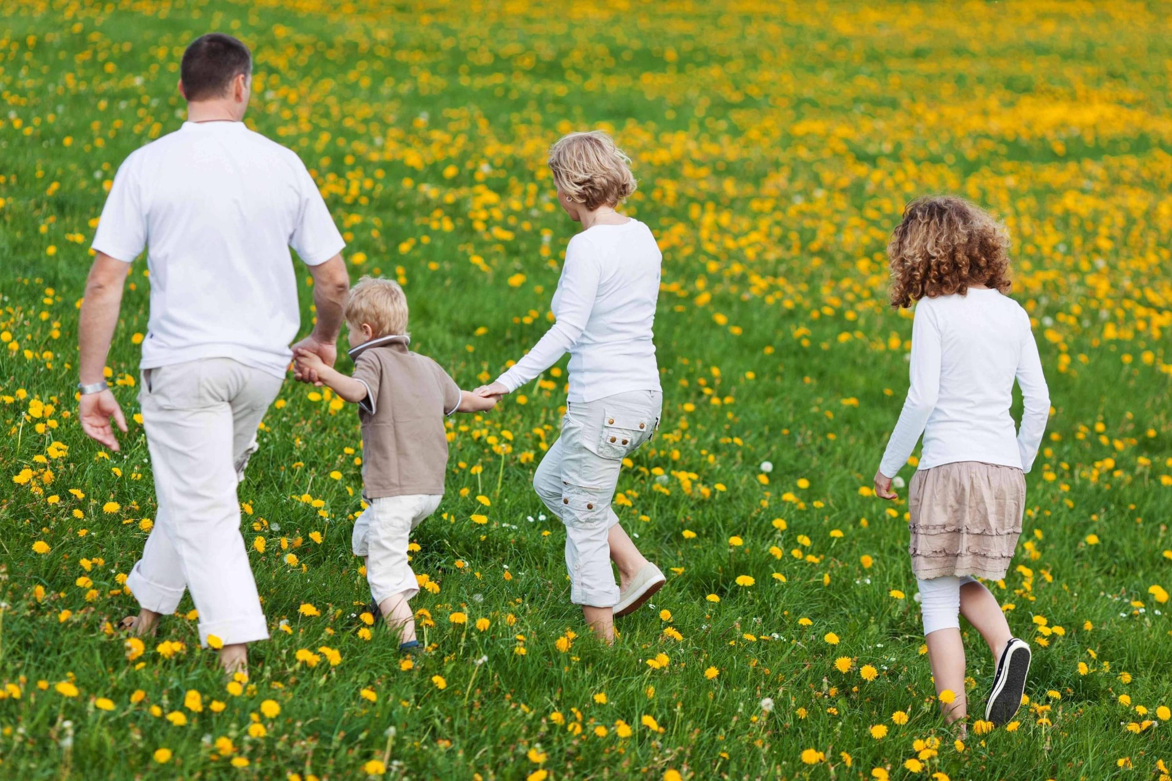 Family walking in a field holding hands.