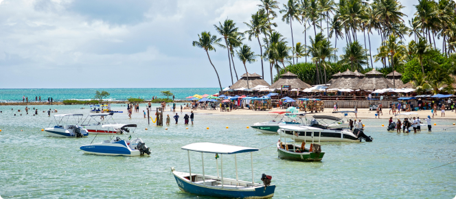 ALT texto alternativo