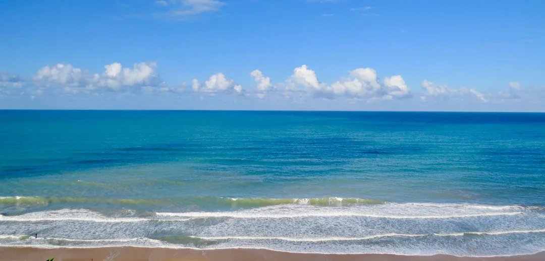 ALT texto alternativo