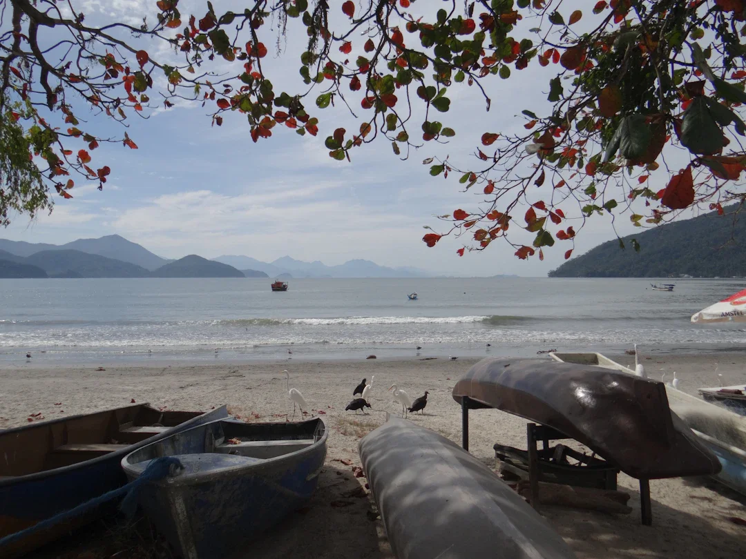 ALT texto alternativo