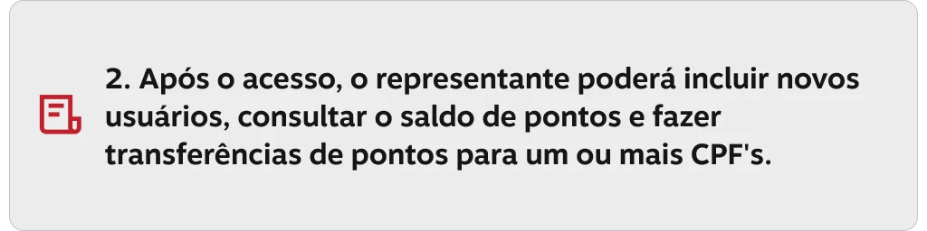 2. Após o acesso, o representante poderá incluir novos usuários, consultar o saldo de pontos e fazer transferências de pontos para um ou mais CPF's.