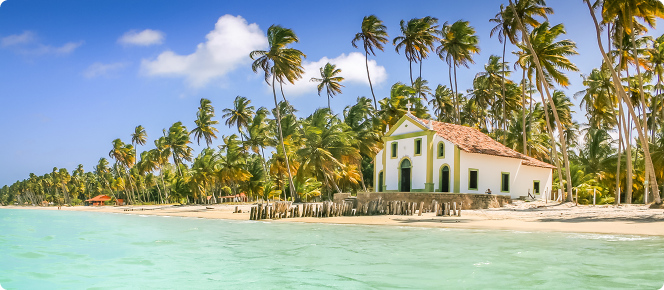 ALT texto alternativo