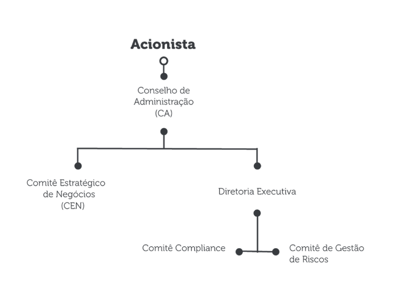 Estrutura de Governança Corporativa
