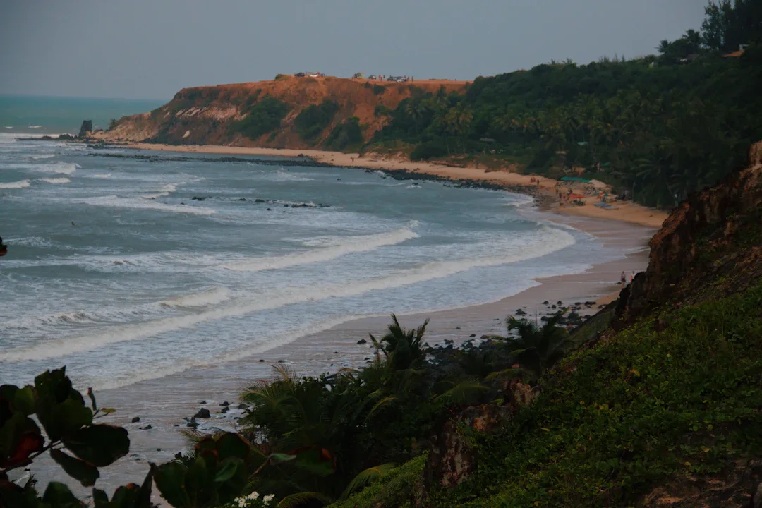 ALT texto alternativo