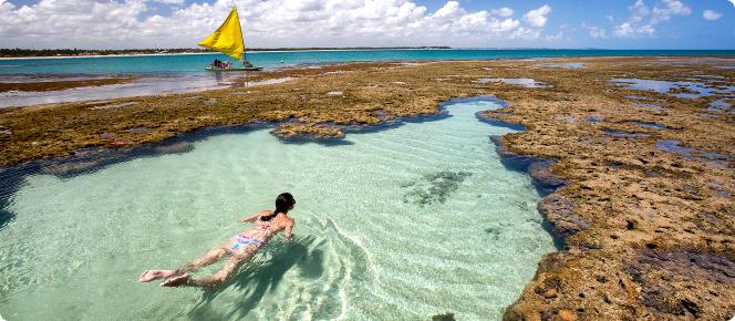 ALT texto alternativo