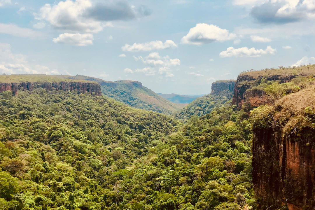 Chapada dos Guimarães: o que fazer, onde ficar e dicas de viagem | Livelo