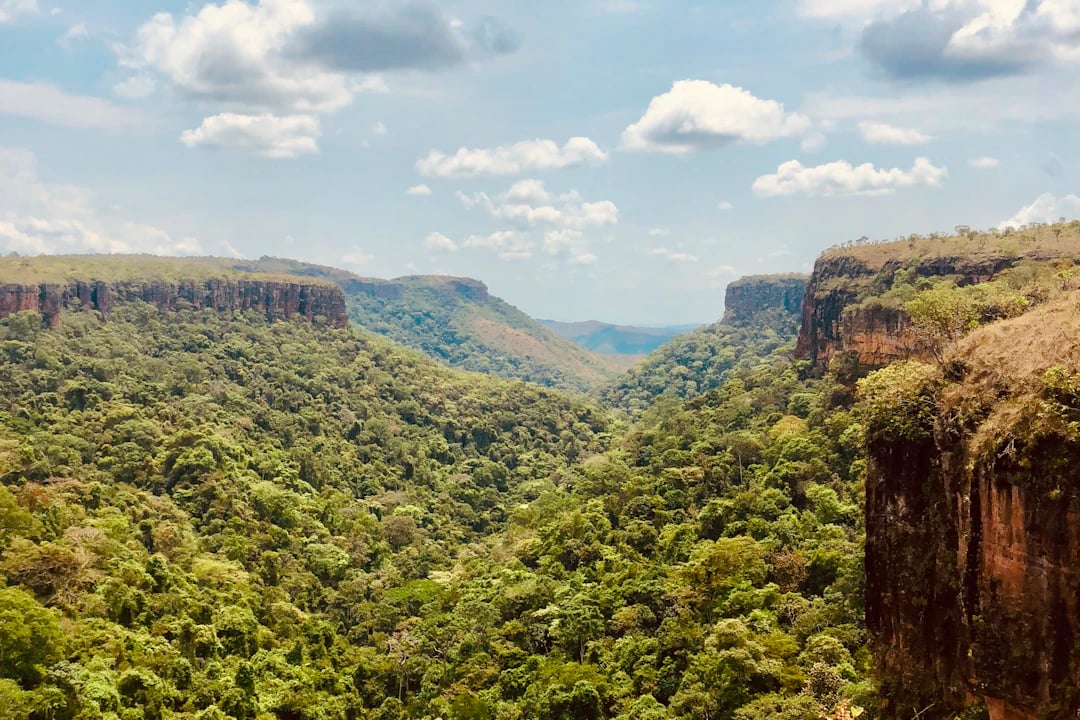Chapada dos Guimarães: o que fazer, onde ficar e dicas de viagem | Livelo